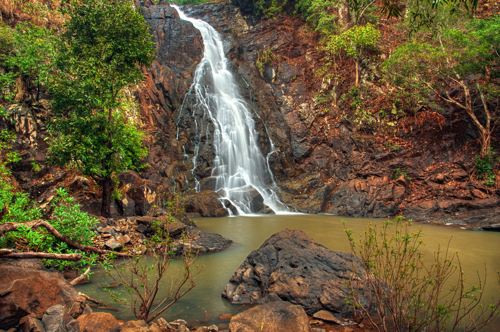 Simlipal National Park