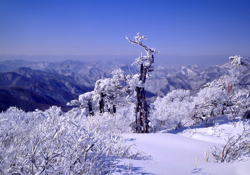 Taebaeksan National Park