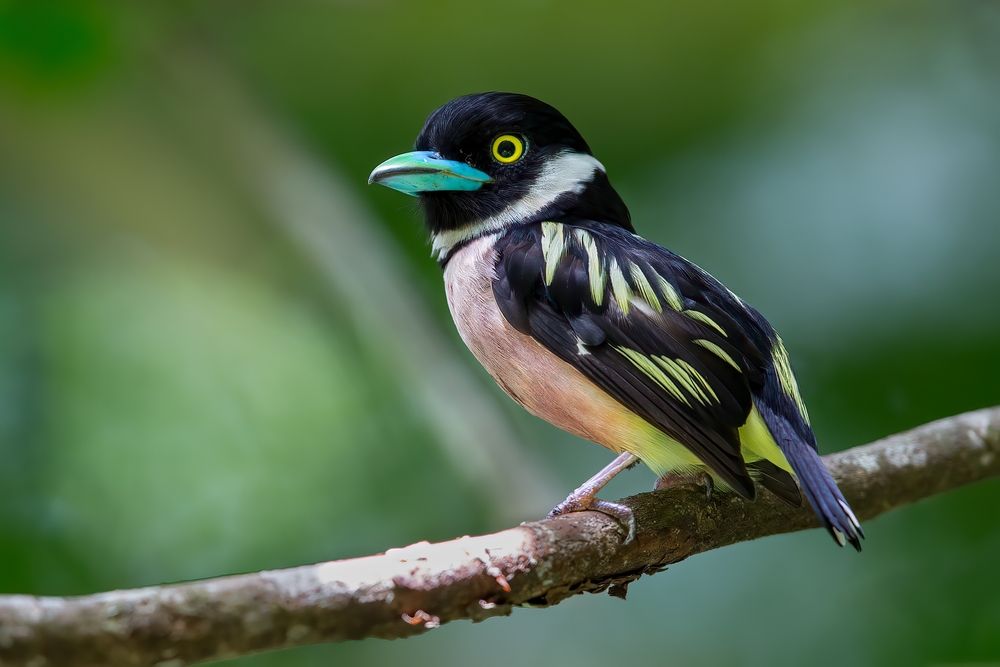 Usun Apau National Park