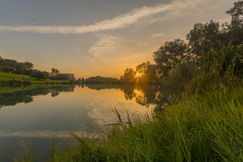 Yarkon National Park