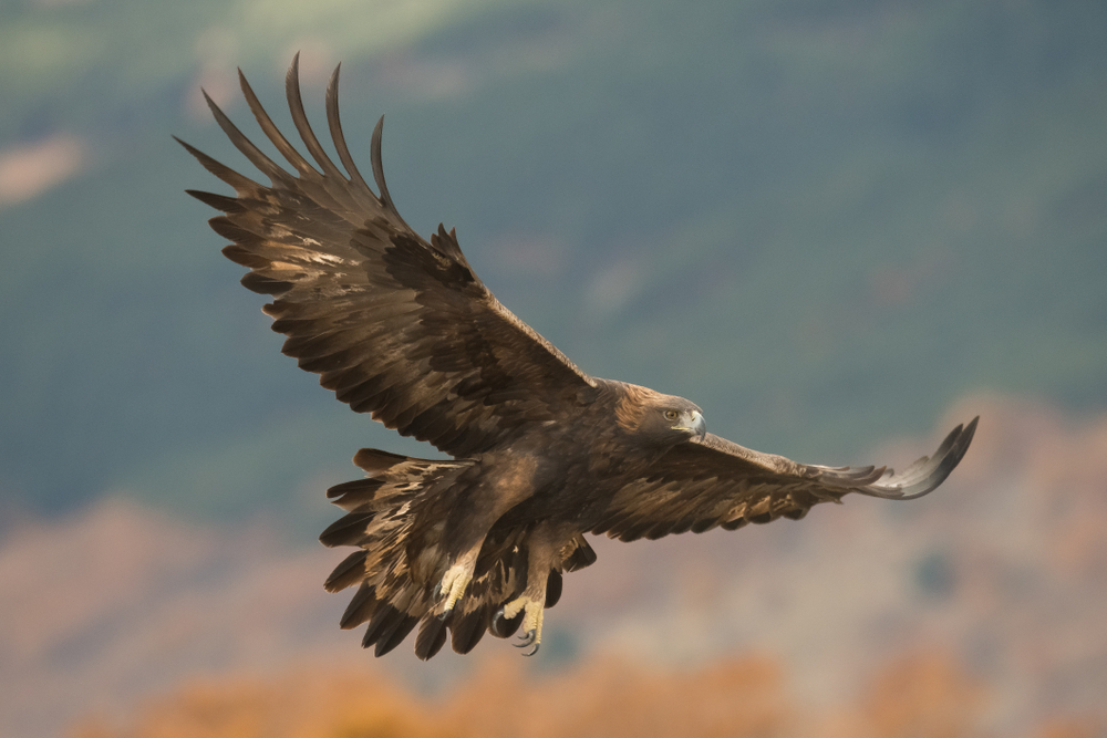Zhongar-Alatau National Park
