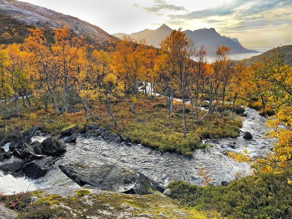 Anderdalen National Park