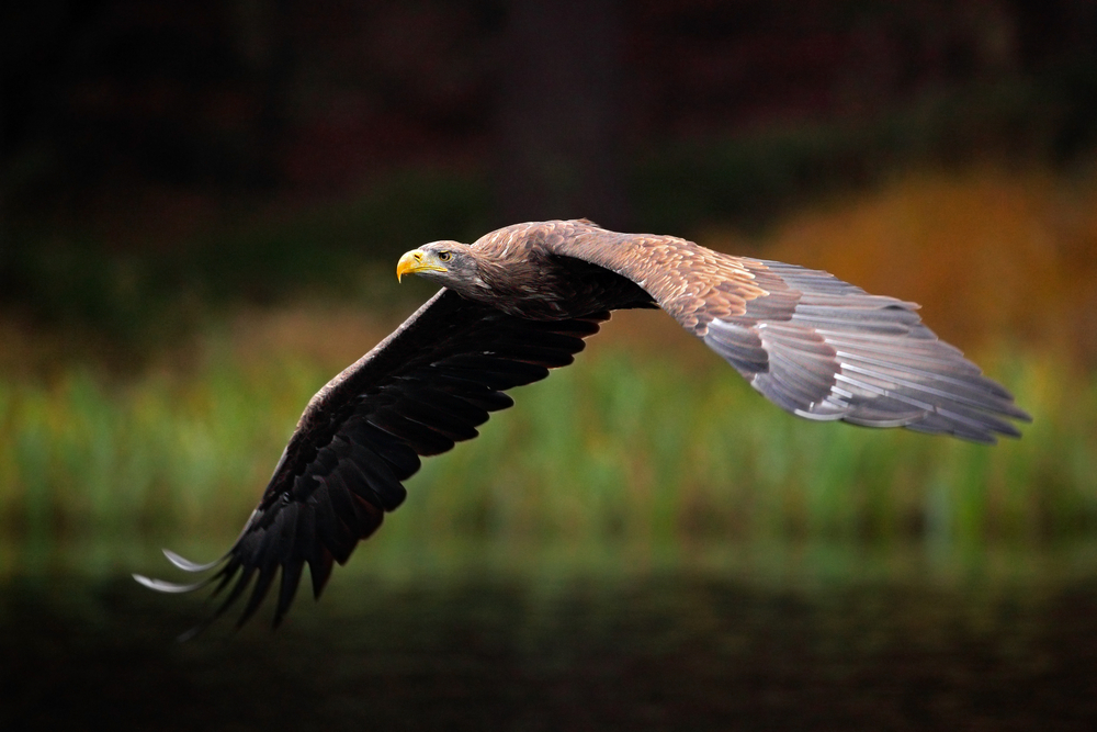 Haparanda Archipelago National Park