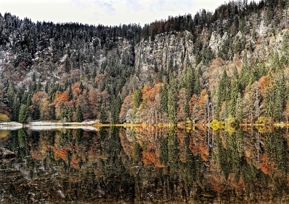 Black Forest National Park