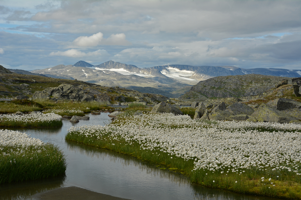 Breheimen National Park