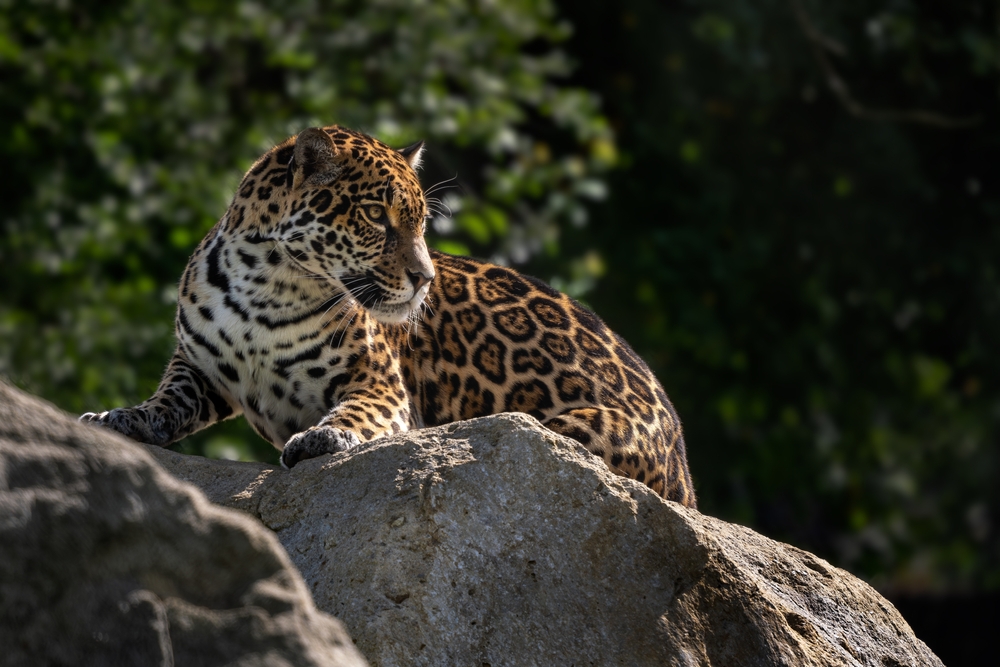 Pacaya National Park