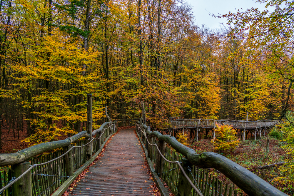 Eifel National Park