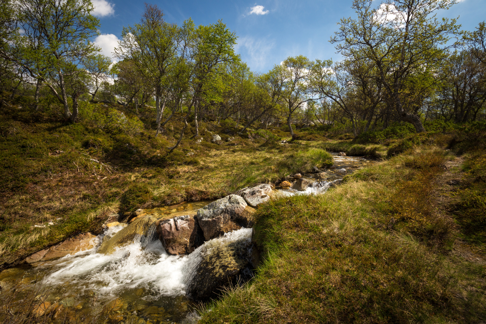 Femundsmarka National Park