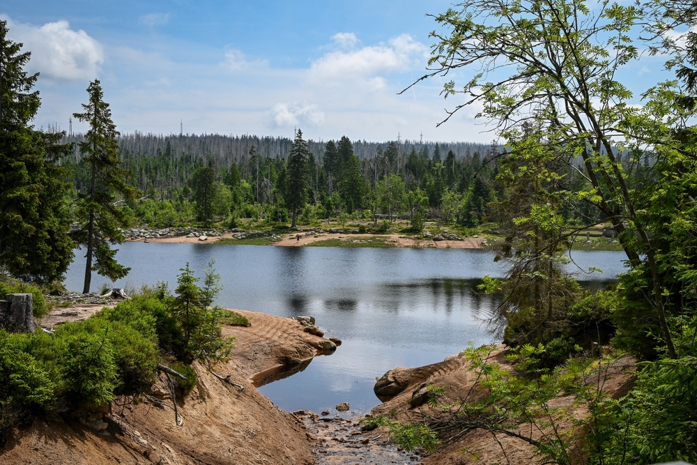 Harz National Park