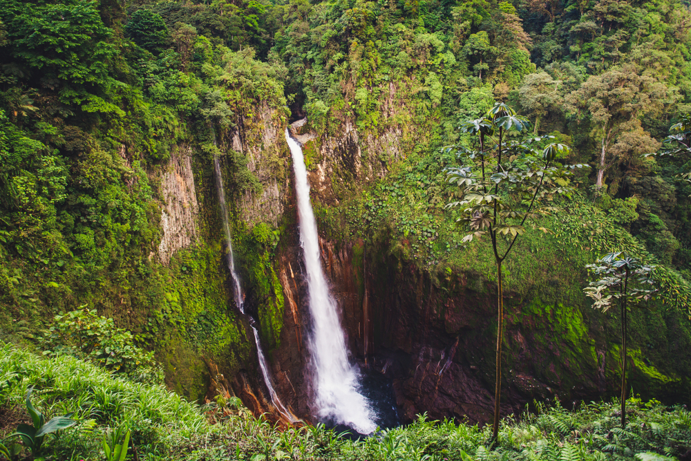 Juan Castro Blanco National Park