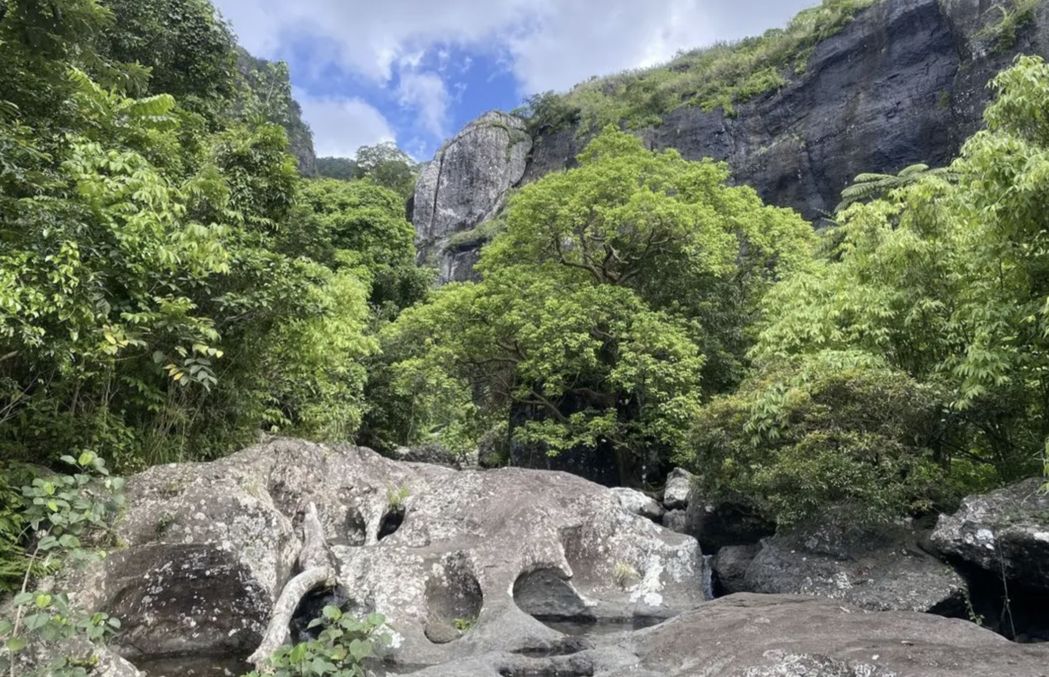 Koroyanitu National Heritage Park