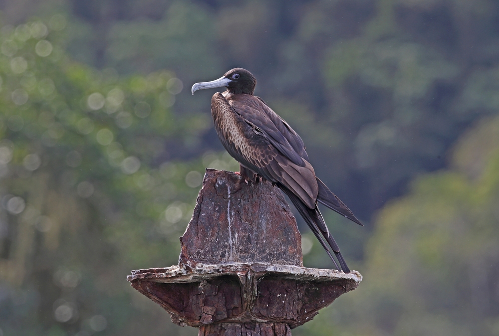 Valle Nuevo National Park