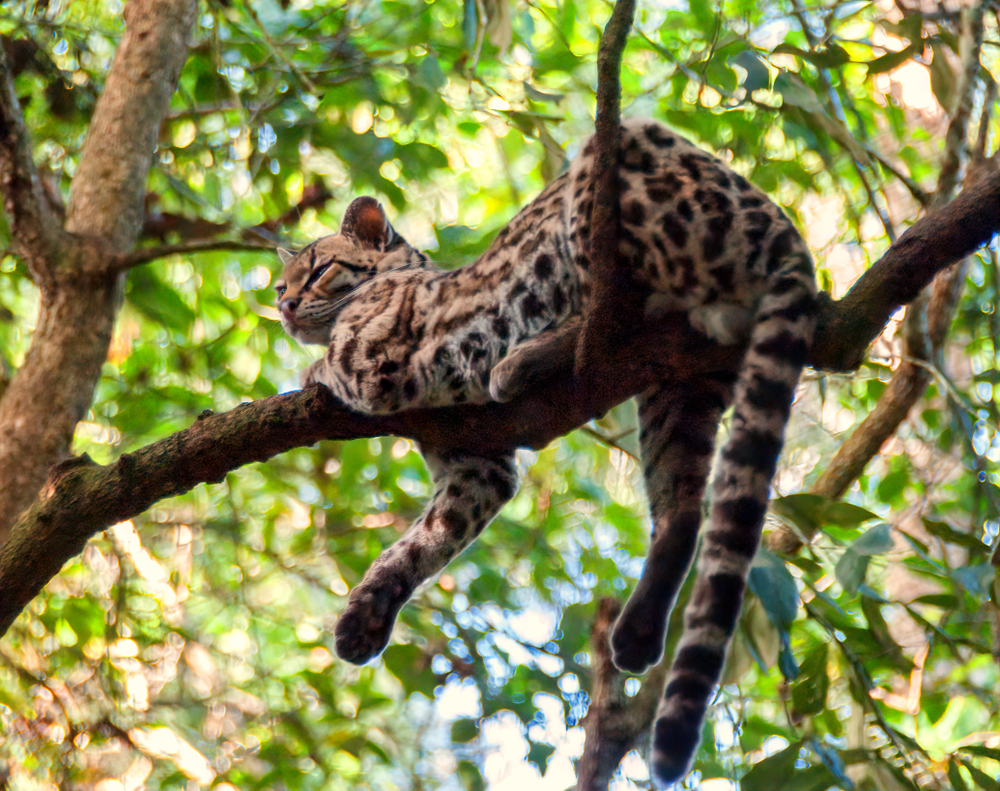 Sierra del Lacandón National Park