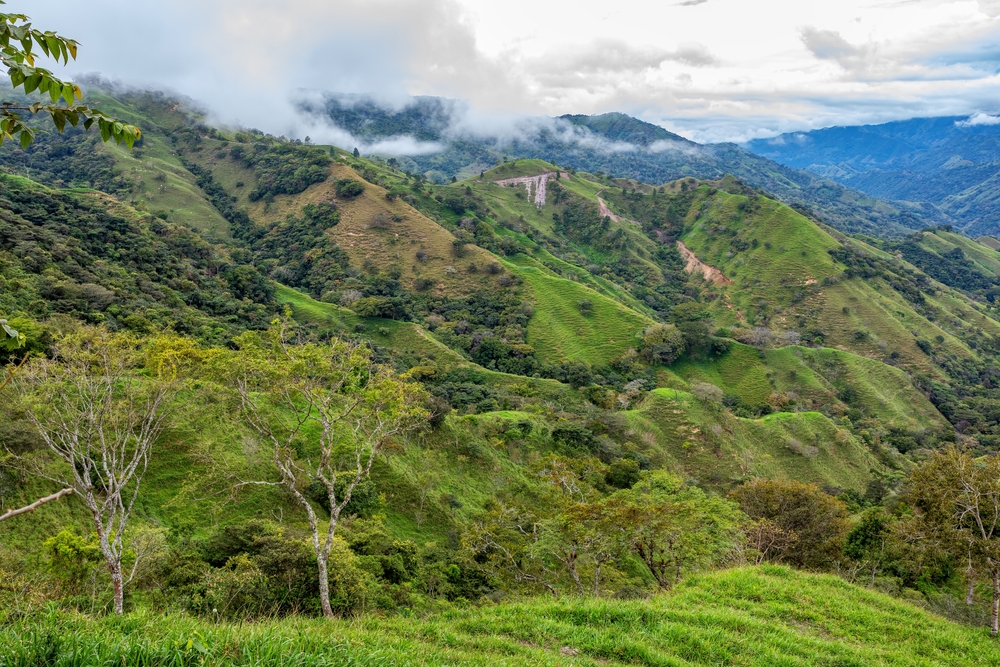 Los Quetzales National Park