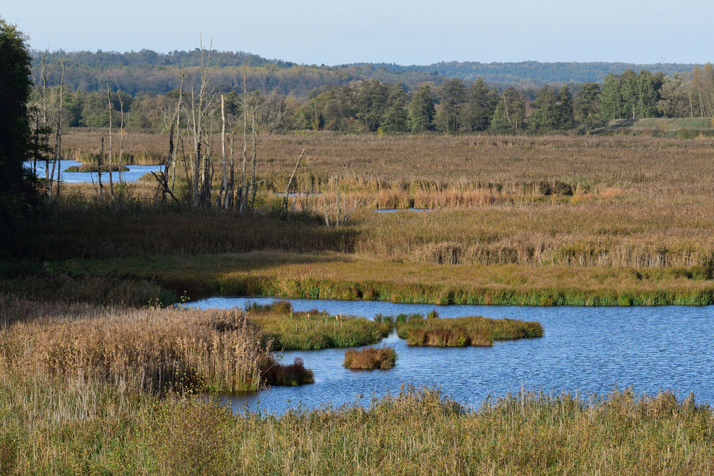 Lower Oder Valley National Park