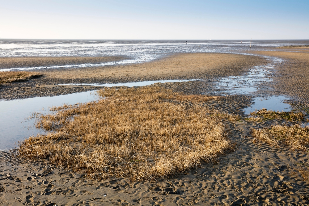 Lower Saxon Wadden Sea National Park