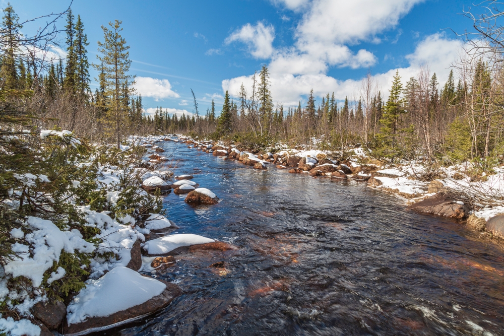 Muddus National Park