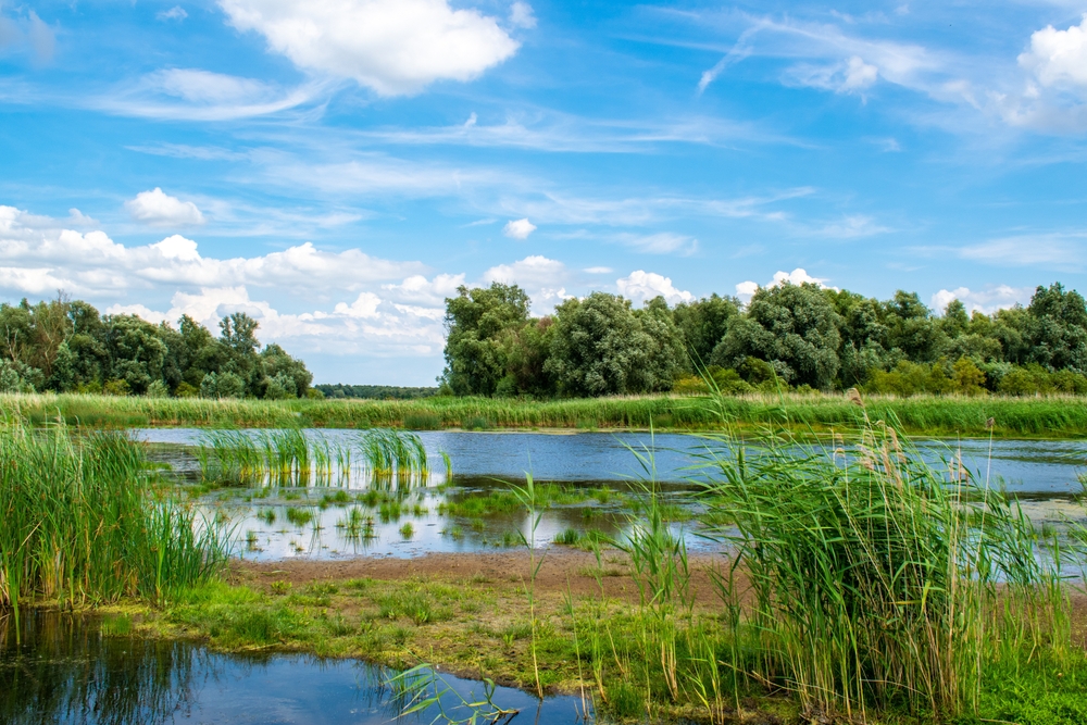 Zuid-Kennemerland National Park
