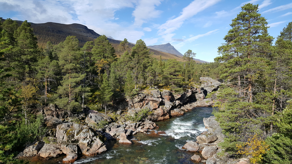 Øvre Dividal National Park