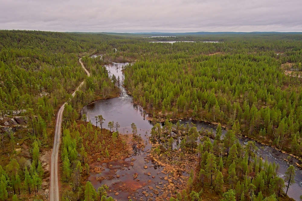 Øvre Pasvik National Park