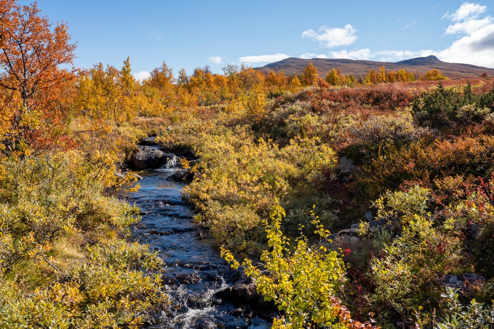 Pieljekaise National Park