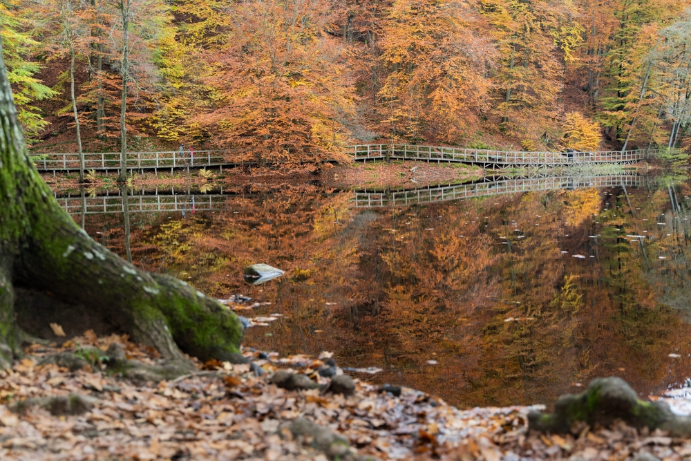 Soderasen National Park