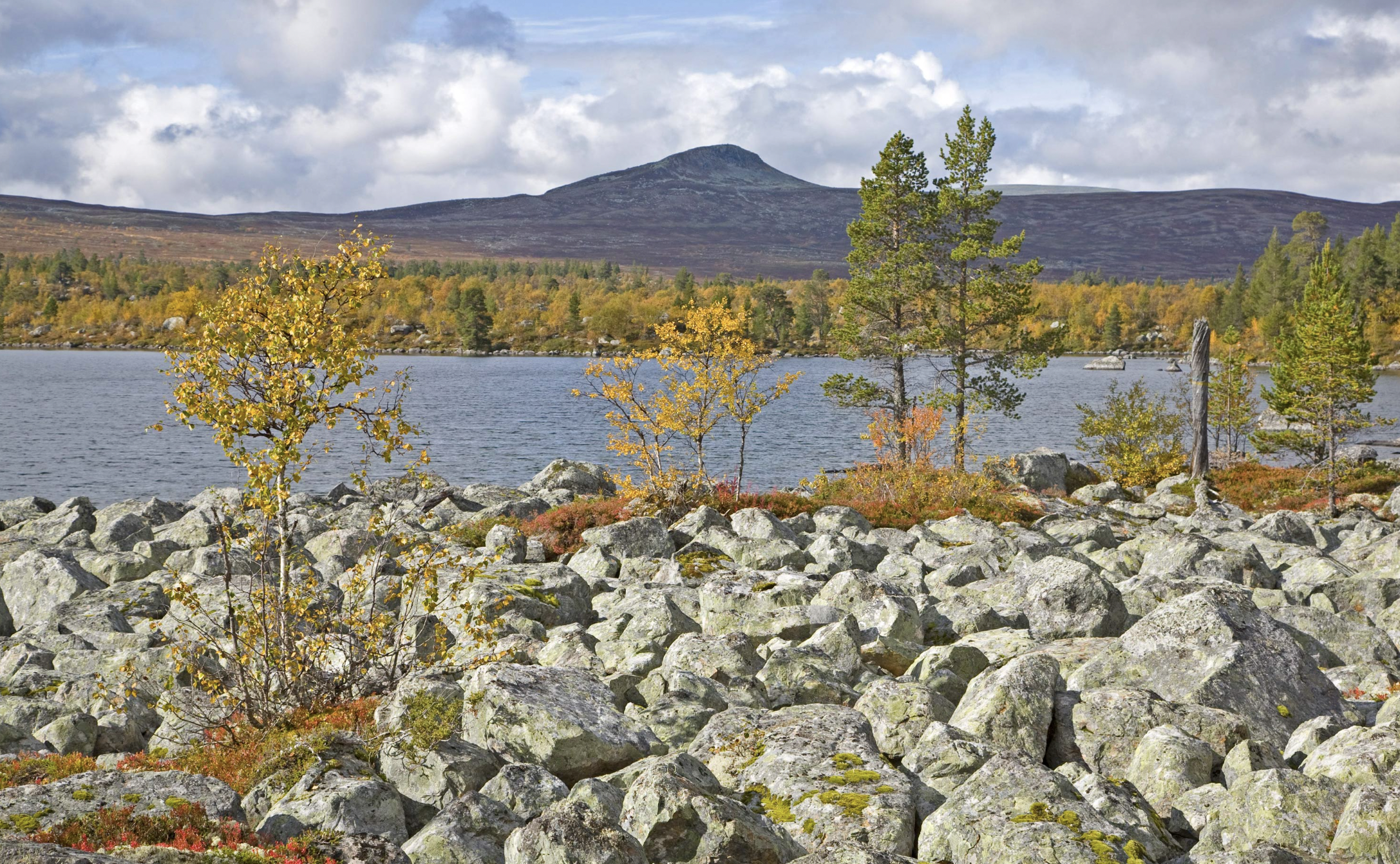 Tofsingdalen National Park