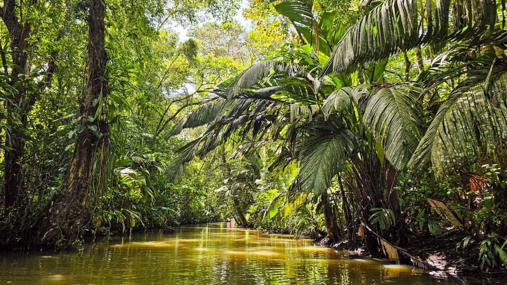 Tortuguero National Park