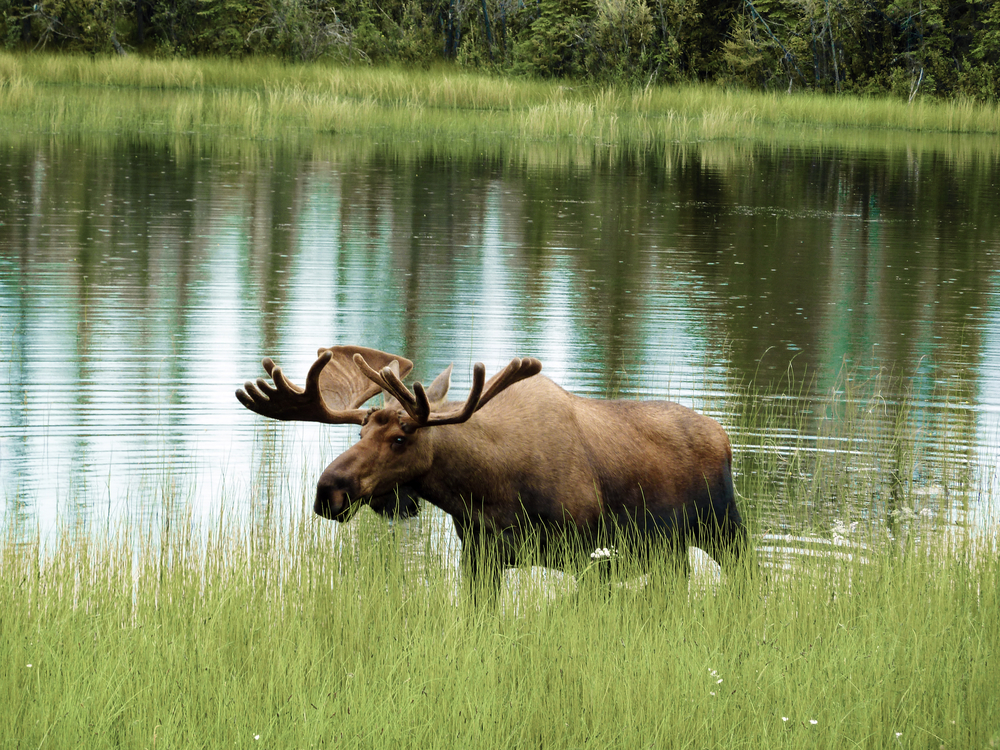 Vadvetjakka National Park