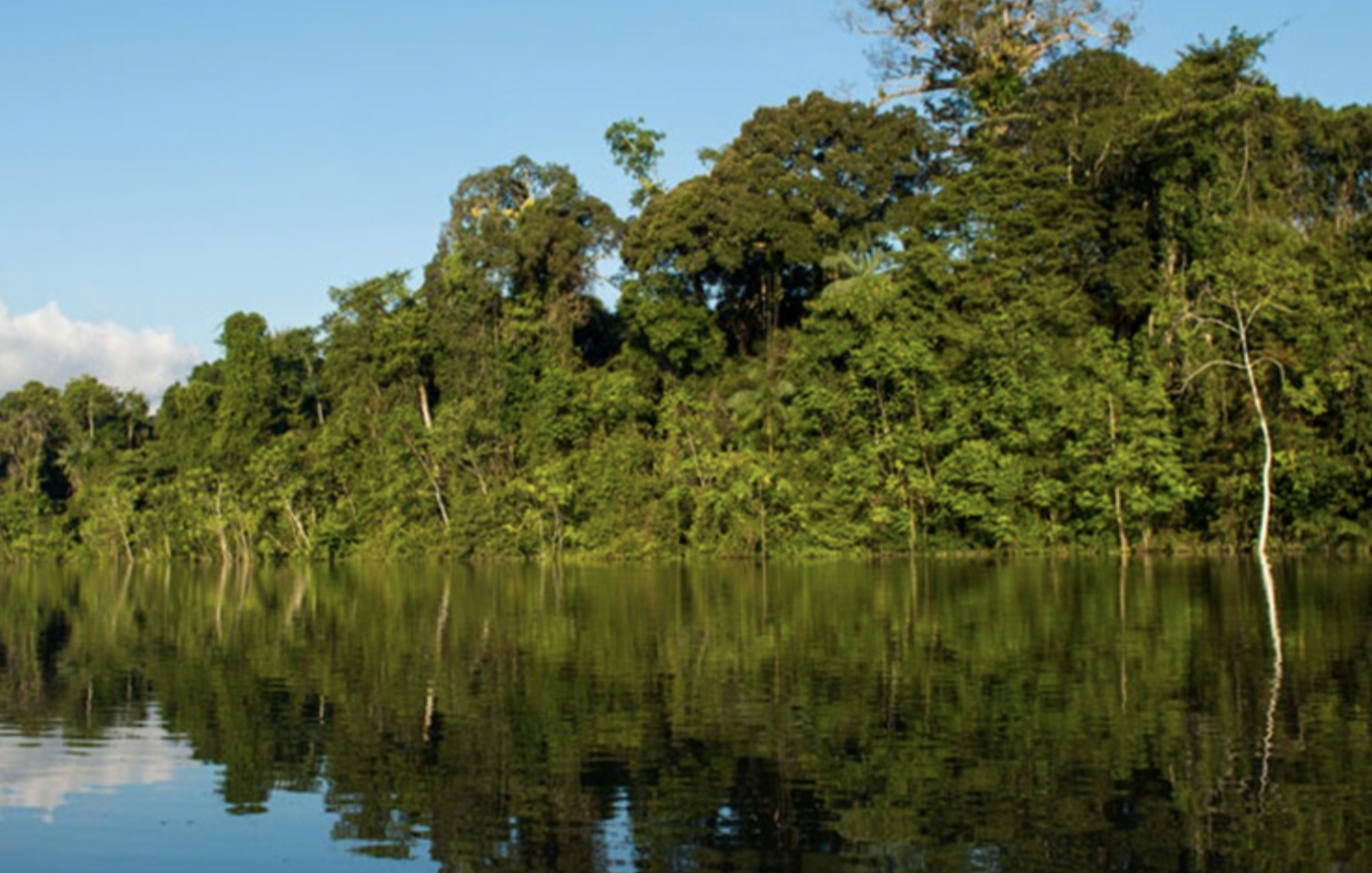 Yaguas National Park