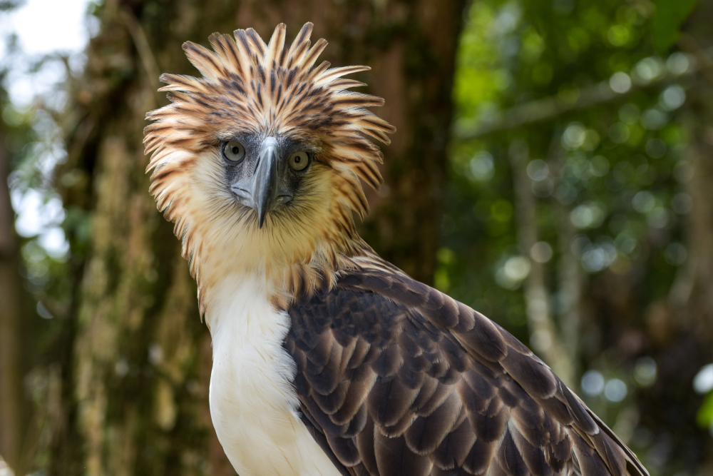 Biak-na Bato National Park