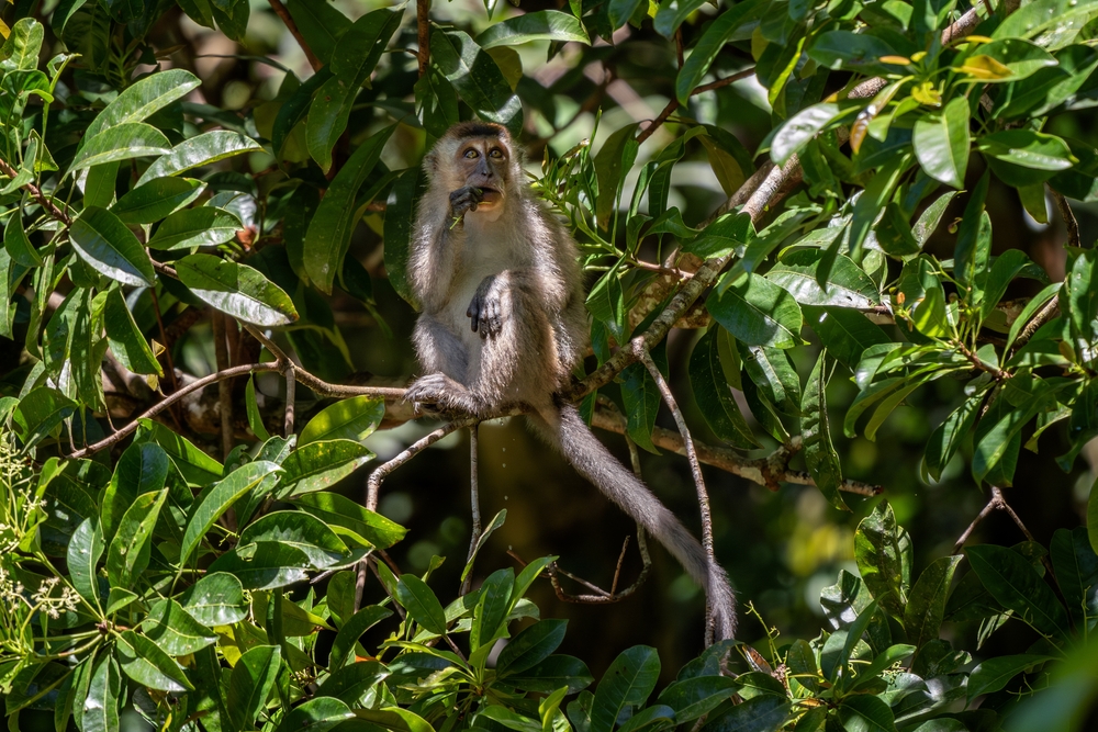 Biak-na Bato National Park