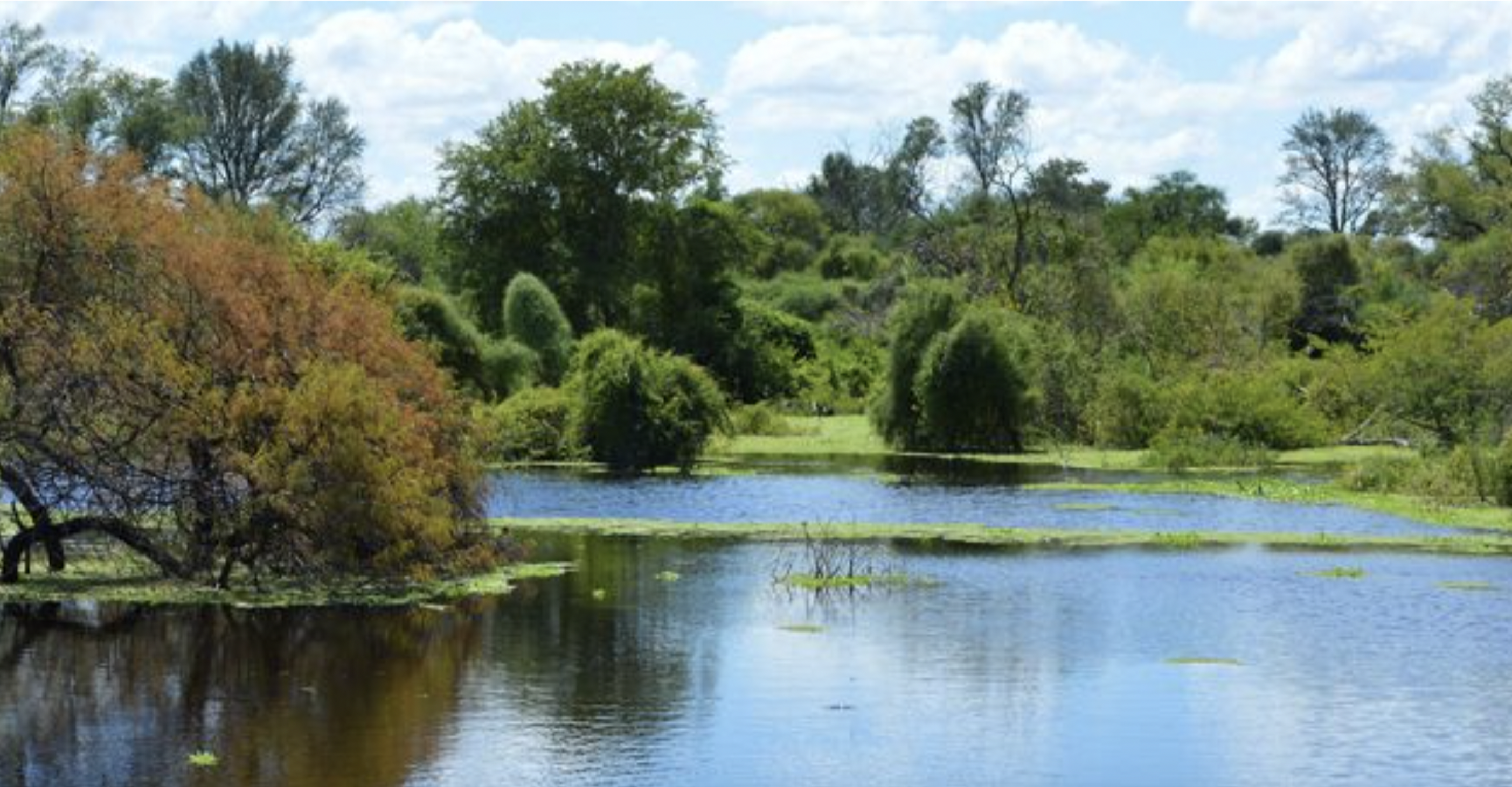 Defensores del Chaco National Park