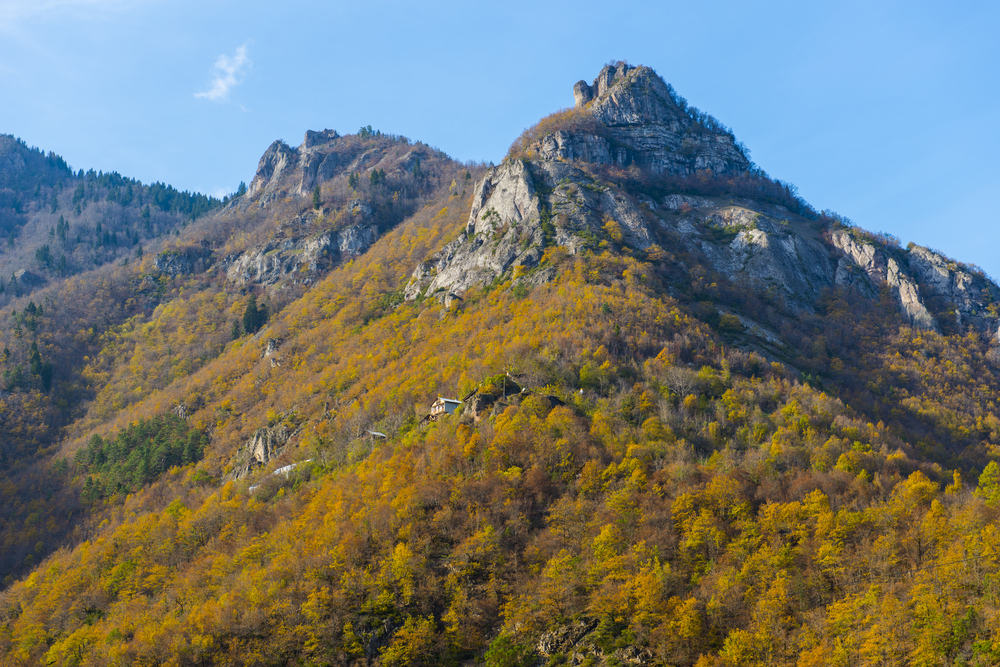 Hatila Valley National Park