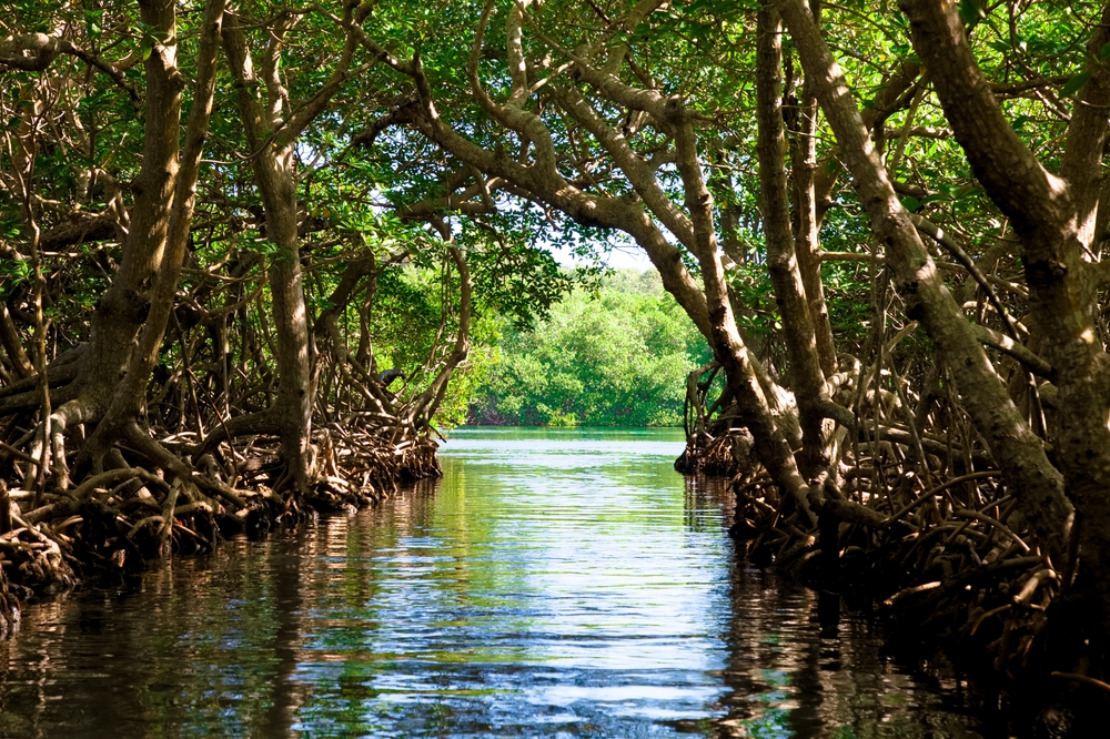 Honduras National Parks