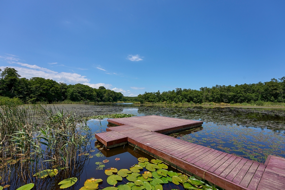İğneada Floodplain Forests National Park