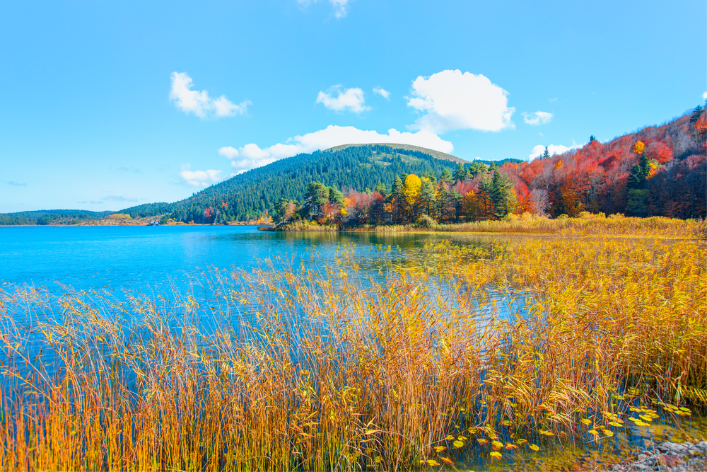 Lake Abant National Park