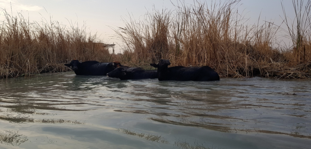 Halgurd-Sakran National Park
