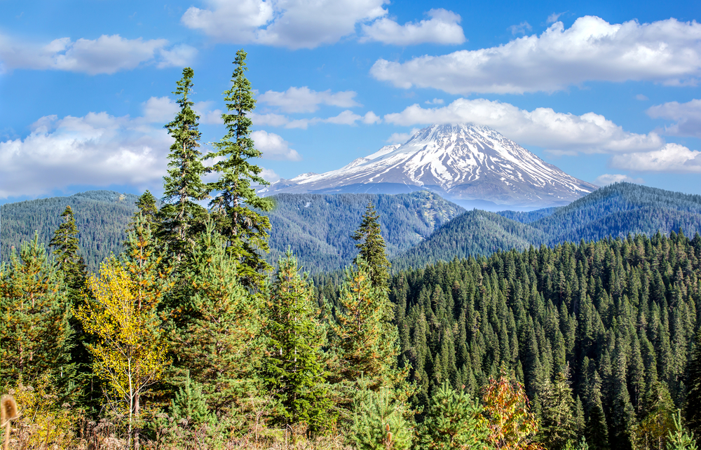 Mount Ilgaz National Park