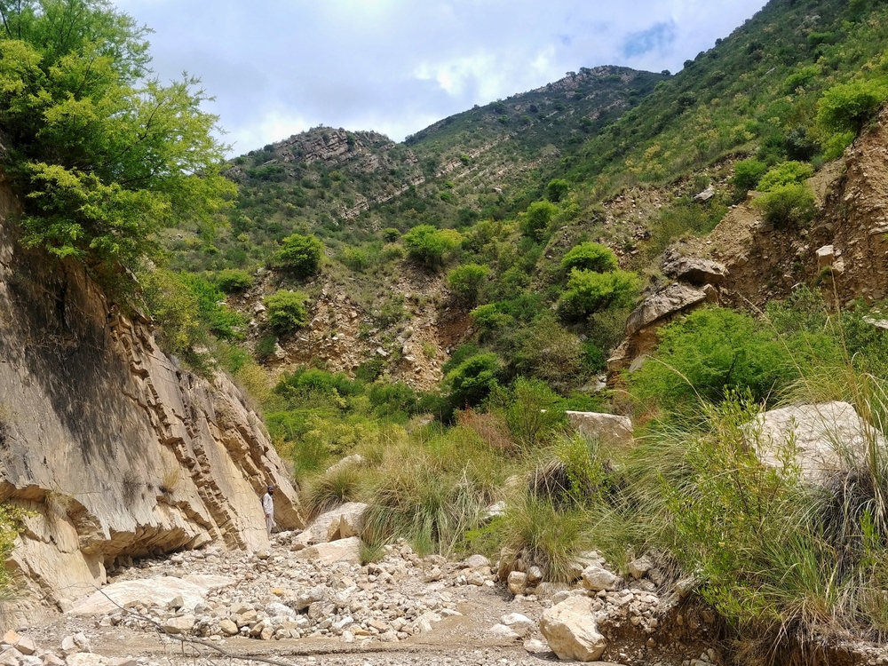 Sheikh Badin National Park