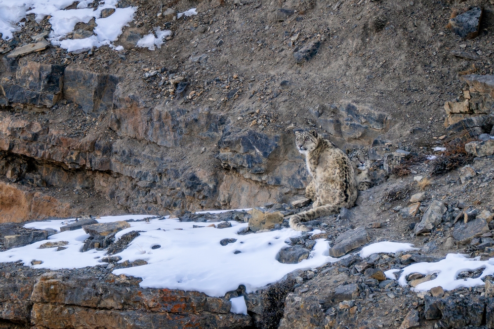 Ugam-Chatkal National Park