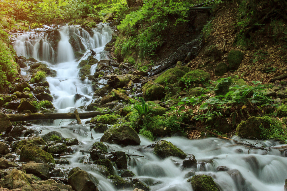 Yedigöller National Park