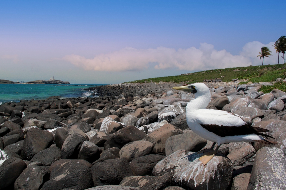 Abrolhos Marine National Park