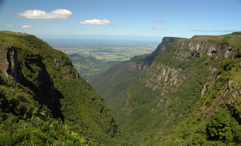 Araucárias National Park