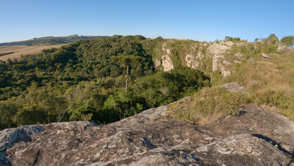 Campos Gerais National Park