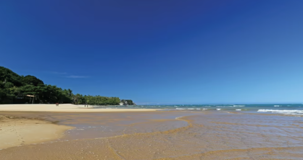 Jurubatiba Sandbank National Park