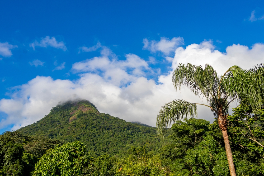 Ilha Grande National Park