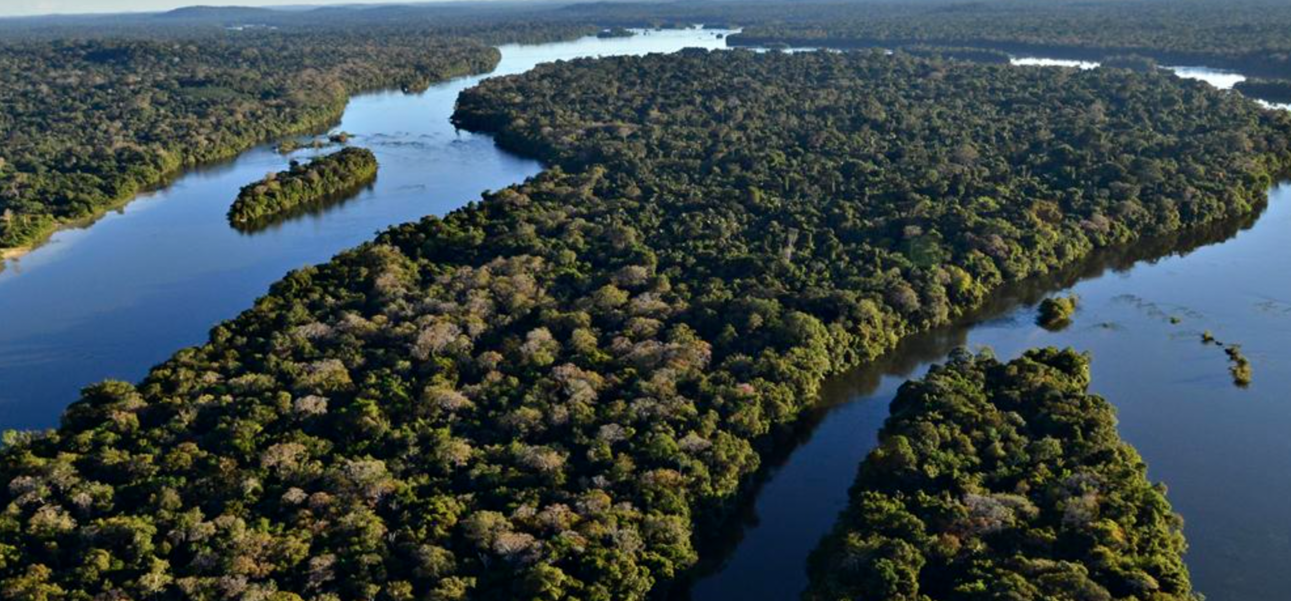 Juruena National Park
