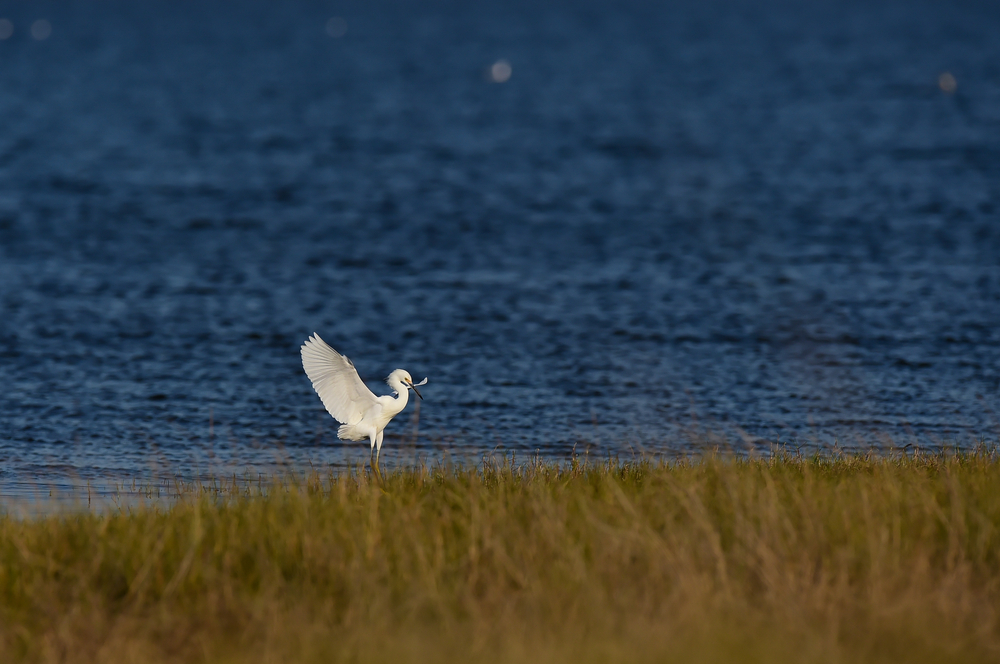 Lagoa do Peixe National Park