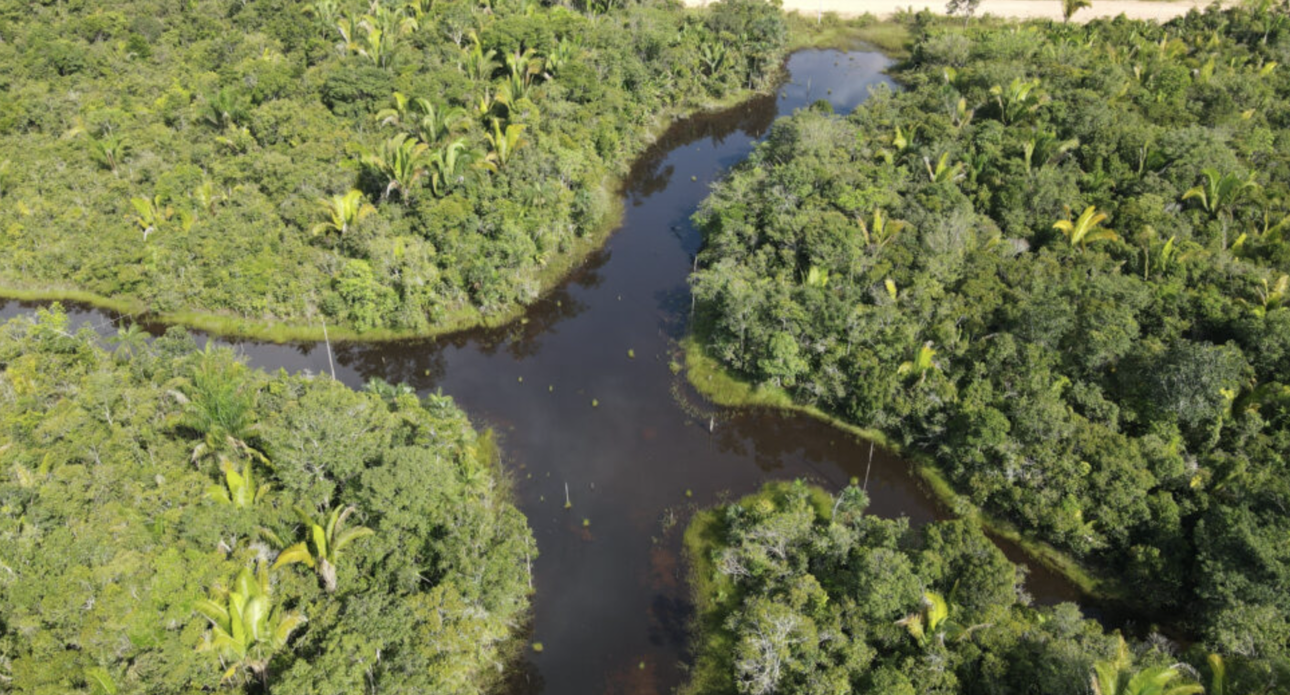Nascentes do Lago Jari National Park